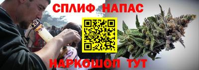 гашик Новокубанск