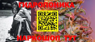 гашик Новокубанск