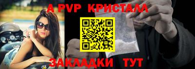 гашик Новокубанск