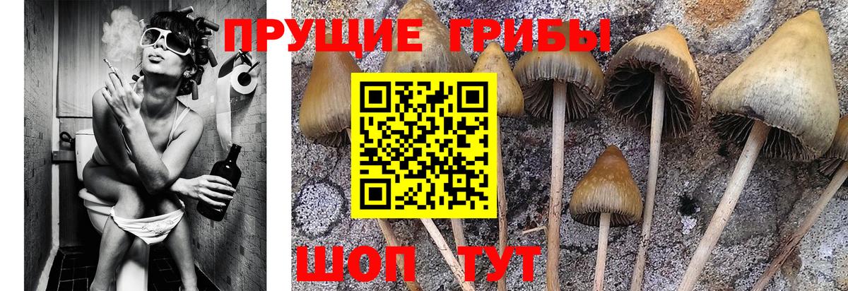 Урай  Псилоцибиновые грибы GOLDEN TEACHER  что такое наркотик  Вход с VPN 